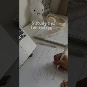 5 Study Tips For Biology Check Comments Study Aesthetic Biology
