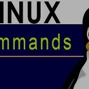 Linux Commands Touch Using The Touch Command To Update File Time And Date Information