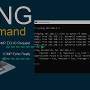 Ping Command Basic Network Troubleshooting