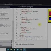 Basic CSS Answer Keys For All Lessons FreeCodeCamp 1 To 44