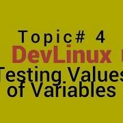 Bash Shell Scripting Topic 4 Testing Values Of Variables