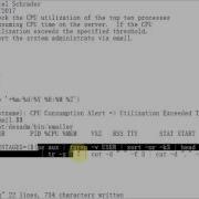 GNU Linux How To Write A Useful Bash Shell Script