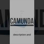 Camunda Compared To Other BPMS