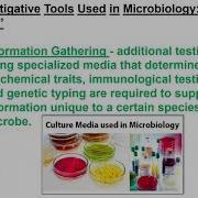 Ch 3 Tools Of The Laboratory Part 1 Of 2