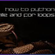 While And For Loops How To Python Basics 9