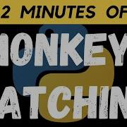 Monkey Patching In Python Python Interview Questions Technical Interview