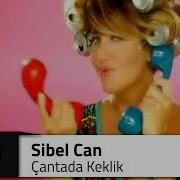 Sibel CAN Çantada Keklik