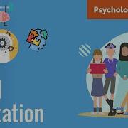Why The Presence Of Others Improves Performance Social Facilitation EXPLAINED