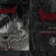 DEFENESTRATION CAN FORGOT TO DIE Single Iron Fortress Records 2026