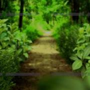 Motionbolt Com The Forest