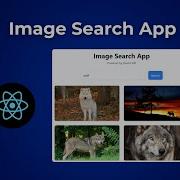 Build An Image Search App With React JS Tailwind CSS Pexels API