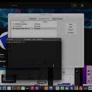 Fix XAMPP Apache Not Starting On MacOS Quick Easy Solutions BlueTek
