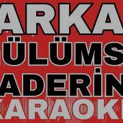 Tarkan Gülümse Kaderine GİTAR COVER KARAOKE