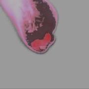 FumeFx Test