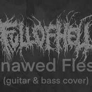 Full Of Hell Gnawed Flesh Guitar Bass Cover