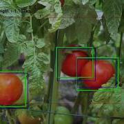 Multi Object Tracking With Darkflow CNN And OpenCV