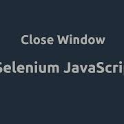 Selenium Javascript Close Browser