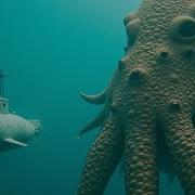 15 Massive Sea Creatures Caught On Camera