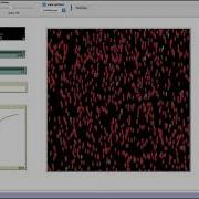 IM 2016 028 Hasitha Ihalawaththa Virus Spred Simulation Using NetLogo NetLogo Simulation
