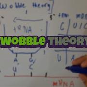 Wobble Theory Explained