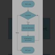 Flowchart Of Loop In Programming Language Programminglanguage Loops Whileloop Coding