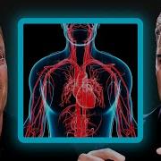Dr Joe Dispenza Explains Heart Coherence