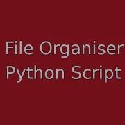 File Organiser Python Script