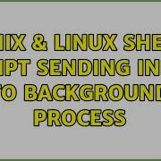 Unix Linux Shell Script Sending Input To Background Process 2 Solutions