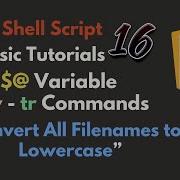 Bash Script Batch Convert Filenames To Lowercase With Mv And Tr Commands