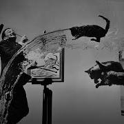 How The Surreal Dali Atomicus Was Captured BBC Global