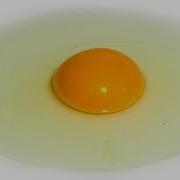 Egg Time Lapse