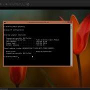 BadBlue 2 7 Exploit On Windows 8 1 Exploitation Course