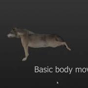 Wolf Run Cycle Animation Except It Gets Progressively Less Unhinged