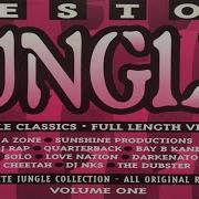 Best Of Jungle 1 1994 Low Price Music CD Compilation