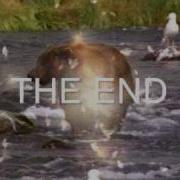 Explosive Bear Compositing Test Wmv