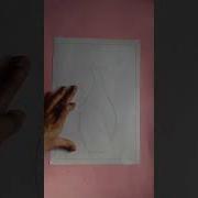 Easy Still Life Drawing Shorts