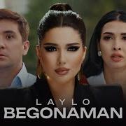 Laylo Begonaman Official Music Video