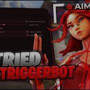 Using The BEST Valorant Triggerbot In Radiant Lobbies For 24 Hours INSANE