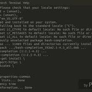 Can T Install Docker In Debian Chroot