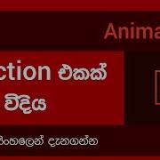 Actionscript 3 For Beginners Normal Functions And Inline Function