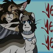 Yeah Yeah Yeah Mandatory PMV