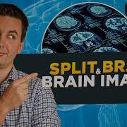 Split Brain Tools For Examining Brain Structure Function AP Psychology Unit 2 Topic 7