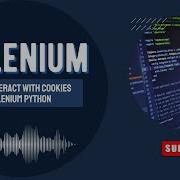 How To Handle Cookies In Selenium Python Save Load Delete Cookies