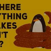 How Do Snakes Swallow Animals So Much Bigger Than They Are Niko Zlotnik
