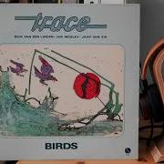 Trace Bourree Vinyl Linn Sondek Koetsu Black Herron Audio VTPH 2A