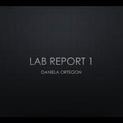 Physics 1 Lab 1 Report