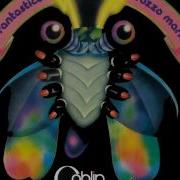 Notte Goblin