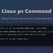 Linux Process Management Mastering The Ps Command For Beginners