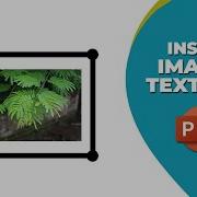 How To Insert An Image Into A Text Box In PowerPoint