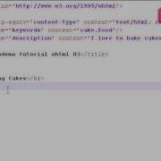 XHTML 1 0 Tutorial 03 Getting Started